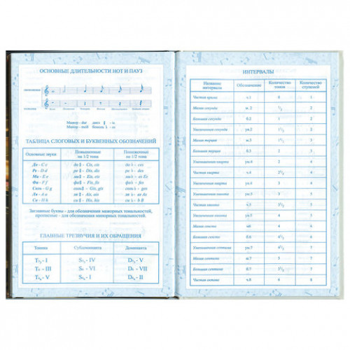 Дневник для музыкальной школы 140х210 мм, 48 л., твердый, BRAUBERG, выборочный лак, справочный материал, Симфония, 103601