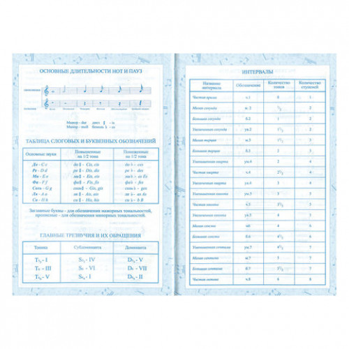 Дневник для музыкальной школы 140х210 мм, 48 л., твердый, BRAUBERG, выборочный лак, справочный материал, На повторе, 104976