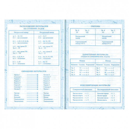 Дневник для музыкальной школы 140х210 мм, 48 л., твердый, BRAUBERG, справочный материал, Гитара, 104974