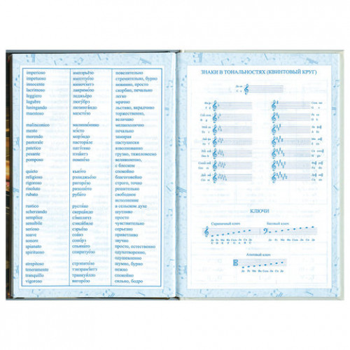 Дневник для музыкальной школы 140х210 мм, 48 л., твердый, BRAUBERG, справочный материал, Концерт, 103279