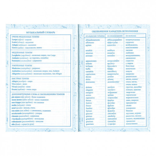 Дневник для музыкальной школы 140х210 мм, 48 л., твердый, BRAUBERG, выборочный лак, справочный материал, На повторе, 104976