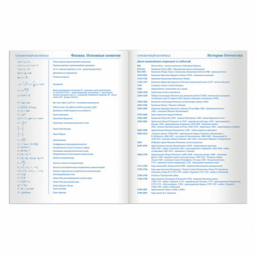 Дневник 5-11 класс 48 л., твердый, BRAUBERG, глянцевая ламинация, с подсказом, Кот и космос, 105584
