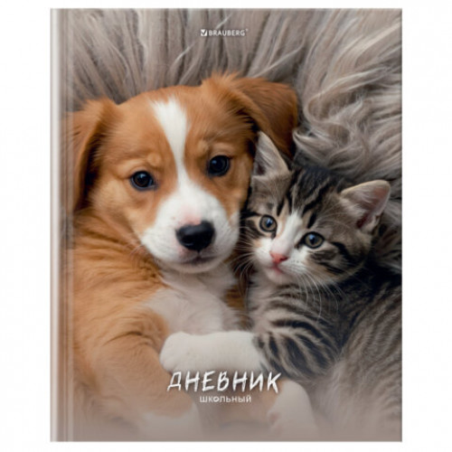 Дневник 5-11 класс 48 л., твердый, BRAUBERG, глянцевая ламинация, с подсказом, МИКС, 107612