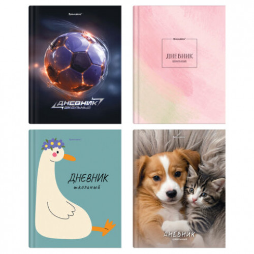 Дневник 5-11 класс 48 л., твердый, BRAUBERG, глянцевая ламинация, с подсказом, МИКС, 107612