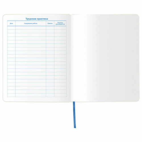 Дневник 1-11 класс 48 л., обложка кожзам (гибкая), термотиснение, фольга, BRAUBERG, КИТЫ, 105971