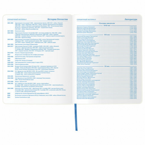 Дневник 1-11 класс 48 л., обложка кожзам (гибкая), термотиснение, фольга, BRAUBERG, КИТЫ, 105971