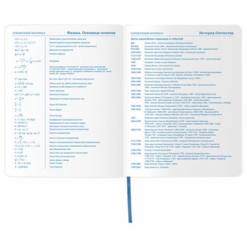 Дневник 1-11 класс 48 л., обложка кожзам (гибкая), термотиснение, фольга, BRAUBERG, КИТЫ, 105971