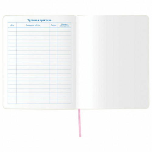 Дневник 1-11 класс 48 л., обложка кожзам (гибкая), термотиснение, фольга, BRAUBERG, ФЛАМИНГО, 105970