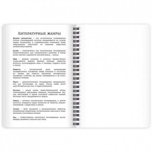 Дневник читательский А5, 58 листов, гребень, пластиковая обложка, картон, BRAUBERG, МИКС, 118528