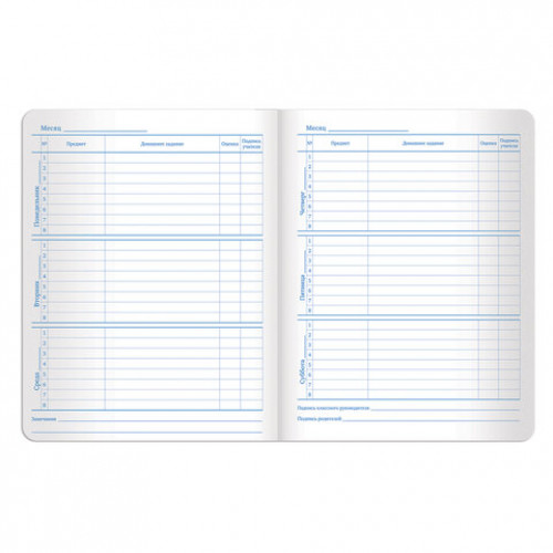 Дневник 1-11 класс 48 л., обложка кожзам (гибкая), печать, фольга, BRAUBERG, ЛИСТЬЯ, 105973