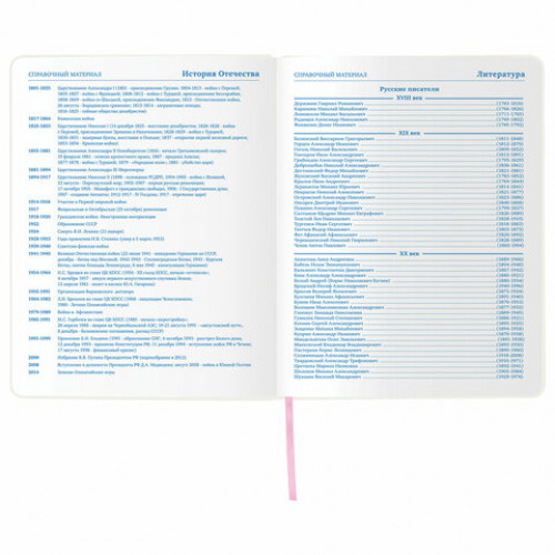 Дневник 1-11 класс 48 л., обложка кожзам (гибкая), печать, фольга, BRAUBERG, ПАСТЕЛЬНЫЙ, 105972
