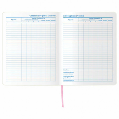 Дневник 1-11 класс 48 л., обложка кожзам (гибкая), термотиснение, фольга, BRAUBERG, ФЛАМИНГО, 105970