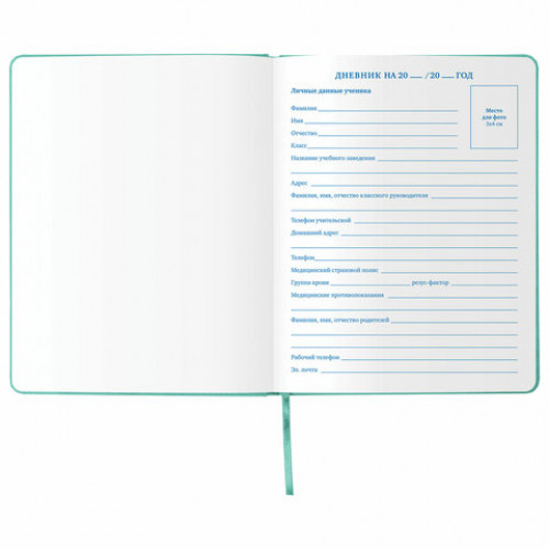 Дневник 1-11 класс 48 л., обложка кожзам (твердая), тиснение, аппликация, BRAUBERG, РУСАЛКА, 105978