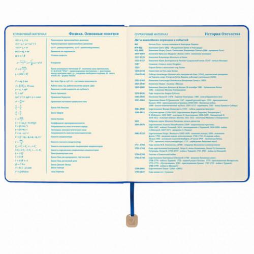 Дневник 1-11 класс 48 л., обложка кожзам (гибкая), термотиснение, BRAUBERG ORIGINAL, голубой, 105965