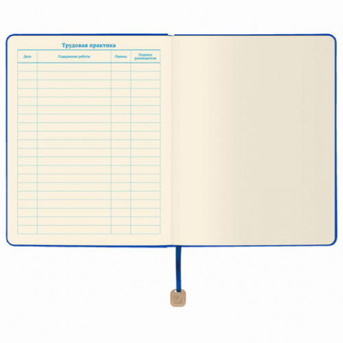 Дневник 1-11 класс 48 л., обложка кожзам (гибкая), термотиснение, BRAUBERG ORIGINAL, голубой, 105965