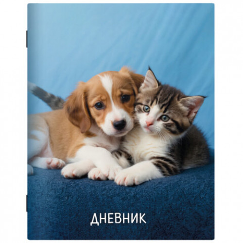 Дневник 1-11 класс 40 л., на скобе, ПИФАГОР, обложка картон, МИКС Универсальный, 107578