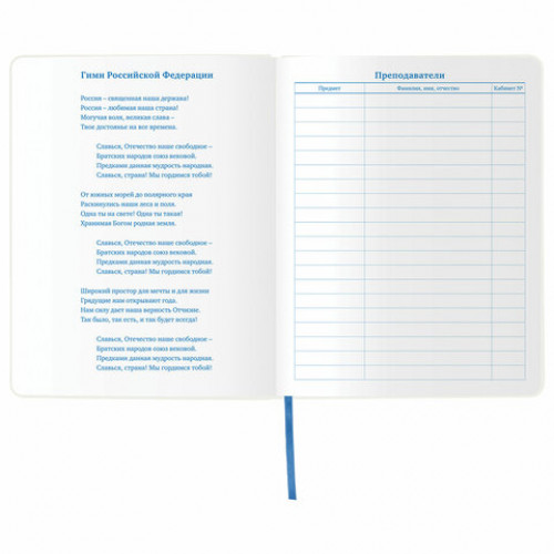 Дневник 1-11 класс 48 л., обложка кожзам (гибкая), термотиснение, фольга, BRAUBERG, КИТЫ, 105971