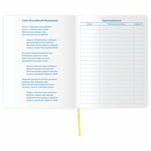 Дневник 1-11 класс 48л, обложка кожзам (гибкая), термотиснение, фольга, BRAUBERG, ФУТБОЛ, 105968