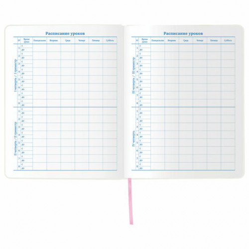 Дневник 1-11 класс 48 л., обложка кожзам (гибкая), термотиснение, фольга, BRAUBERG, ФЛАМИНГО, 105970