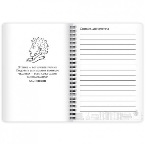 Дневник читательский А5, 58 листов, гребень, пластиковая обложка, картон, BRAUBERG, МИКС, 118528