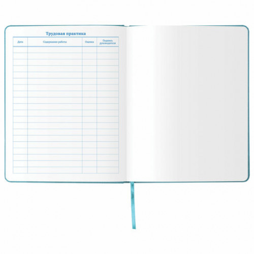 Дневник 1-11 класс 48 л., обложка кожзам (твердая), тиснение, аппликация, BRAUBERG, ДЖИП, 105977