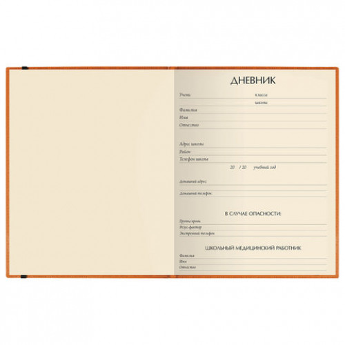 Дневник 1-11 класс, кожзам (лайт), тиснение, резинка, ляссе, 48 л., АЛЬТ MEGAPOLIS, оранжевый, 10-068/01
