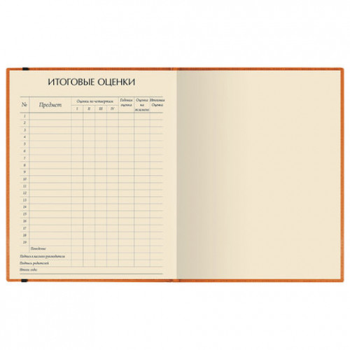Дневник 1-11 класс, кожзам (лайт), тиснение, резинка, ляссе, 48 л., АЛЬТ MEGAPOLIS, оранжевый, 10-068/01