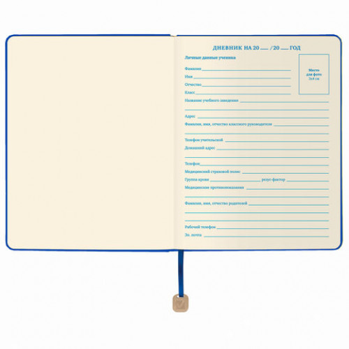 Дневник 1-11 класс 48 л., обложка кожзам (гибкая), термотиснение, BRAUBERG ORIGINAL, голубой, 105965
