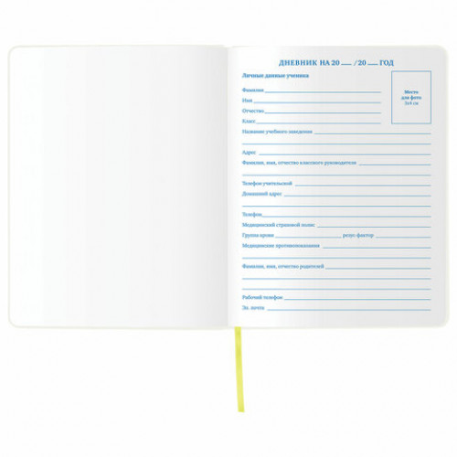 Дневник 1-11 класс 48л, обложка кожзам (гибкая), термотиснение, фольга, BRAUBERG, ФУТБОЛ, 105968