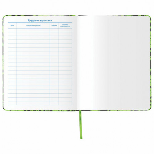 Дневник 1-11 класс 48 л., обложка кожзам (твердая), флуоресцентный, BRAUBERG, УЗОР, 105981