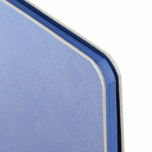 Дневник 1-11 класс 48 л., обложка кожзам (гибкая), термотиснение, BRAUBERG ORIGINAL, голубой, 105965