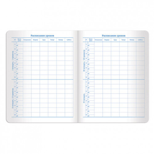 Дневник 1-11 класс 48 л., обложка кожзам (гибкая), печать, фольга, BRAUBERG, ЛИСТЬЯ, 105973