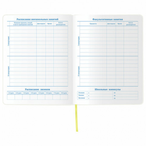 Дневник 1-11 класс 48л, обложка кожзам (гибкая), термотиснение, фольга, BRAUBERG, ФУТБОЛ, 105968