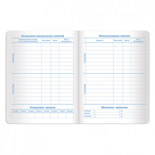 Дневник 1-11 класс 48 л., обложка кожзам (гибкая), печать, фольга, BRAUBERG, ЛИСТЬЯ, 105973