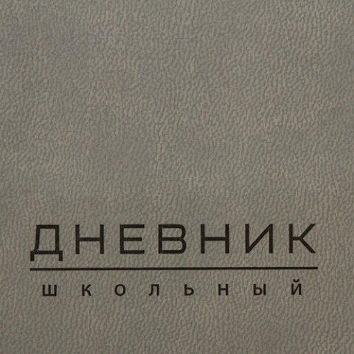 Дневник 1-11 класс 48 л., обложка кожзам (гибкая), термотиснение, BRAUBERG ORIGINAL, серый, 105966