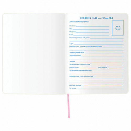 Дневник 1-11 класс 48 л., обложка кожзам (гибкая), термотиснение, фольга, BRAUBERG, ФЛАМИНГО, 105970