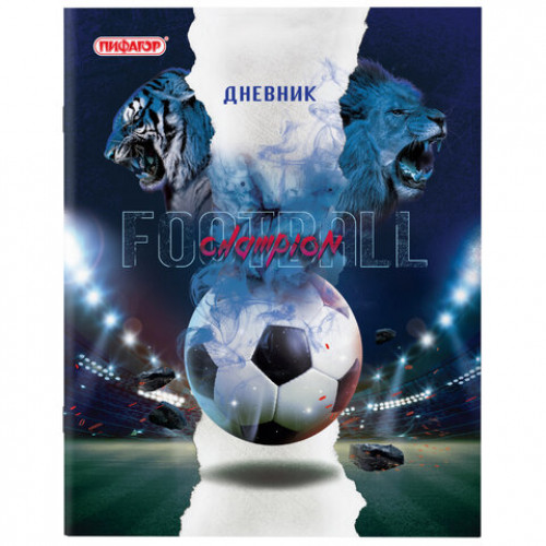 Дневник 1-11 класс 40 л., на скобе, ПИФАГОР, обложка картон, Football, 106341