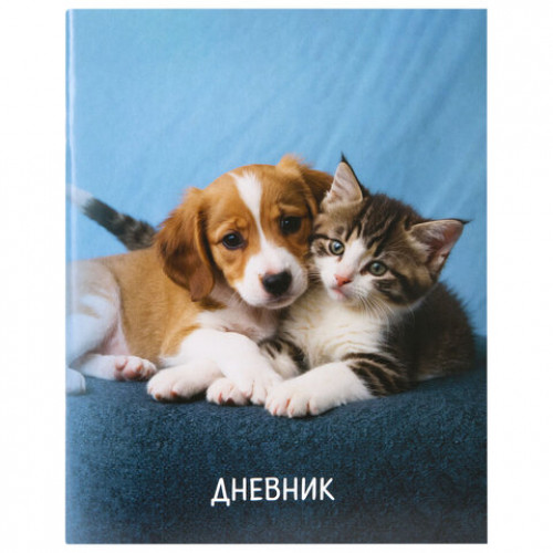 Дневник 1-11 класс 40 л., на скобе, ПИФАГОР, обложка картон, МИКС Универсальный, 107578