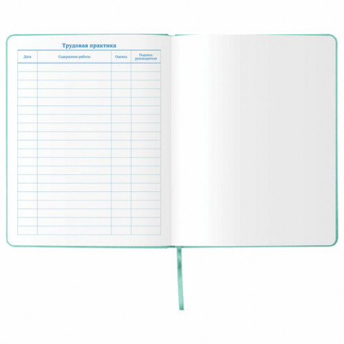 Дневник 1-11 класс 48 л., обложка кожзам (твердая), тиснение, аппликация, BRAUBERG, РУСАЛКА, 105978