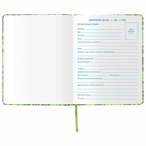 Дневник 1-11 класс 48 л., обложка кожзам (твердая), флуоресцентный, BRAUBERG, УЗОР, 105981