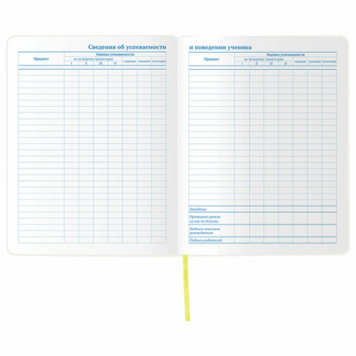 Дневник 1-11 класс 48л, обложка кожзам (гибкая), термотиснение, фольга, BRAUBERG, ФУТБОЛ, 105968