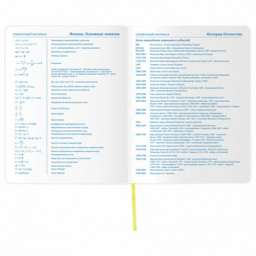 Дневник 1-11 класс 48л, обложка кожзам (гибкая), термотиснение, фольга, BRAUBERG, ФУТБОЛ, 105968