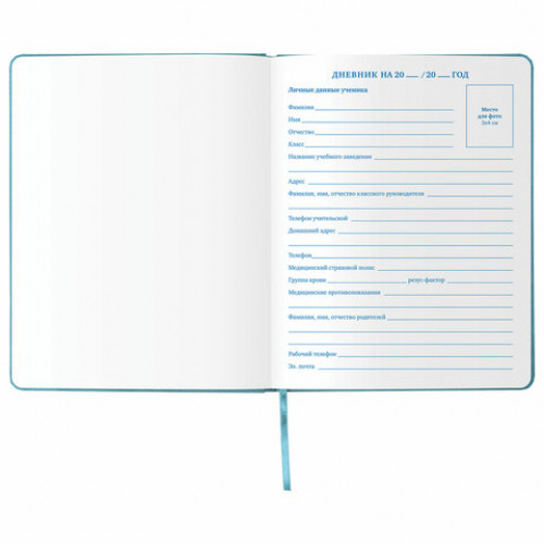 Дневник 1-11 класс 48 л., обложка кожзам (твердая), тиснение, аппликация, BRAUBERG, ДЖИП, 105977