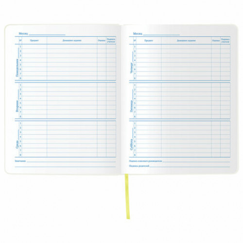 Дневник 1-11 класс 48л, обложка кожзам (гибкая), термотиснение, фольга, BRAUBERG, ФУТБОЛ, 105968