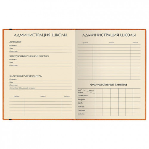 Дневник 1-11 класс, кожзам (лайт), тиснение, резинка, ляссе, 48 л., АЛЬТ MEGAPOLIS, оранжевый, 10-068/01