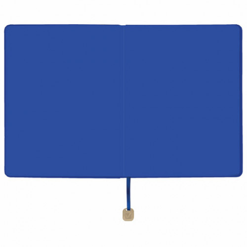 Дневник 1-11 класс 48 л., обложка кожзам (гибкая), термотиснение, BRAUBERG ORIGINAL, голубой, 105965