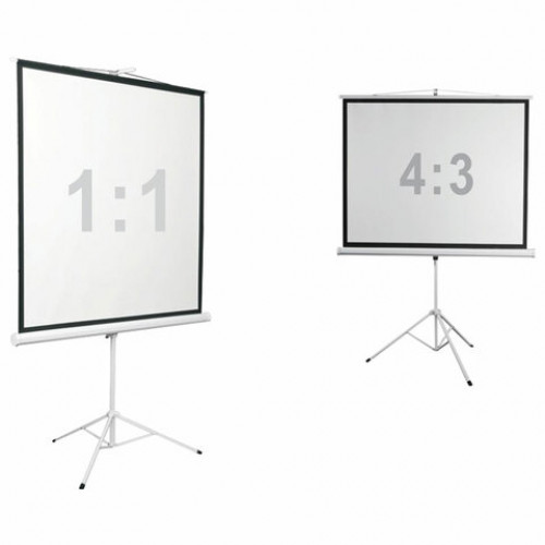 Экран проекционный на треноге 112 (206х209 см), матовый, 1:1, DIGIS KONTUR-D, DSKD-1106