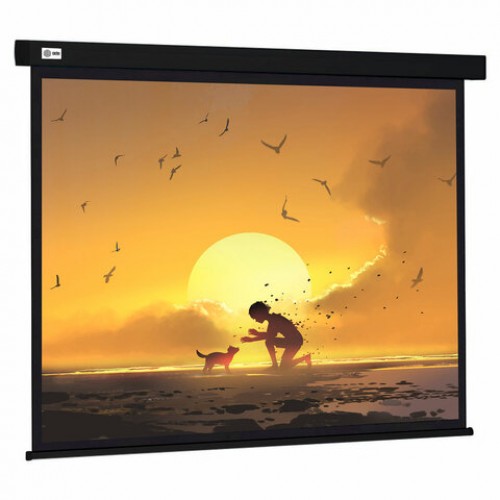 Экран Cactus Wallscreen CS-PSW-150X150-BK, 150x150см, 1:1, настенно-потолочный, черный, PSW-150x150-BK