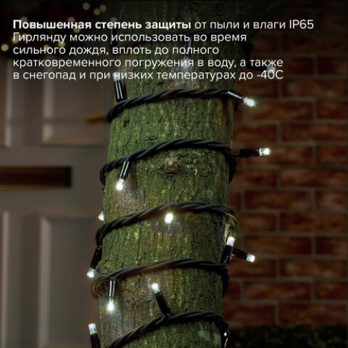Электрогирлянда уличная ЗОЛОТАЯ СКАЗКА Heavy Rain, IP65, 100 LED, 10 м, холодный белый, 591296