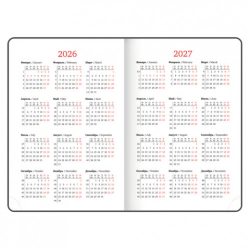 Ежедневник датированный 2026, А5, 138х213 мм, BRAUBERG Plain, под кожу, резинка, держатель для ручки, синий, 117506